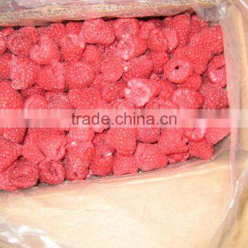 Frozen raspberry whole or crumble with best quality from sunnywellfoods