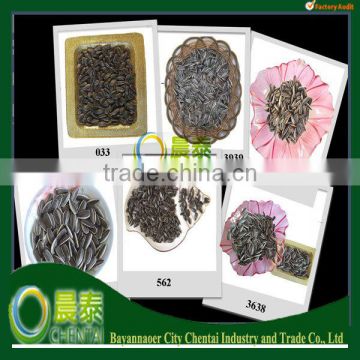 Price Of Chinese Sunflower seeds nuts 909 To Eat