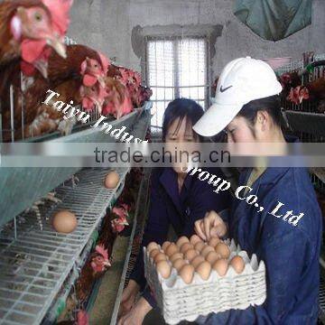 chicken egg layer cages factory