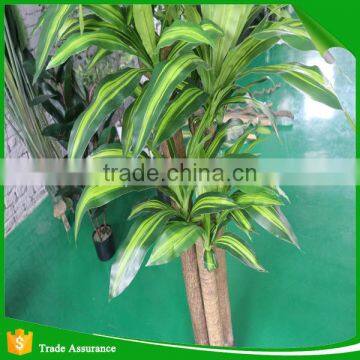 Nearly Natural Corn Stalk Dracaena Decorative Silk Plant photo-2