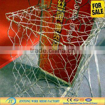 High Quality Hexagonal Wire Mesh/Chicken Wire/Chicken Cage (manufacturer ISO9001 )