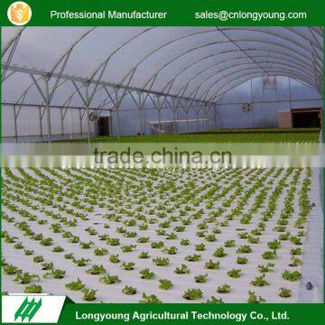 2017 Hot sell no pesticide damage greenhouse pvc hydroponic system