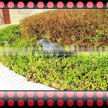 OEM HDPE Plastic Bird Decoy,Fire Bird,plastic Pigeon Decoy,hunting Decoy Bird photo-2