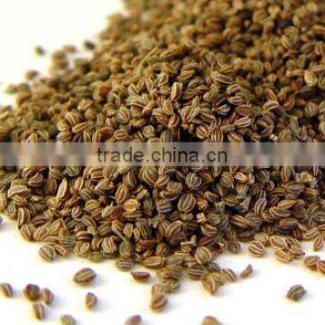 celery seeds