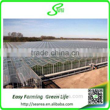 Venlo Glass Cover Metal Frame Greenhouse photo-4