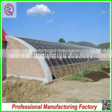 Double Layer High Tunnel Plastic Film Greenhouses for Flower/vegetable Growing photo-3