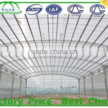 Commercial Industrial Greenhouse for Sale photo-2