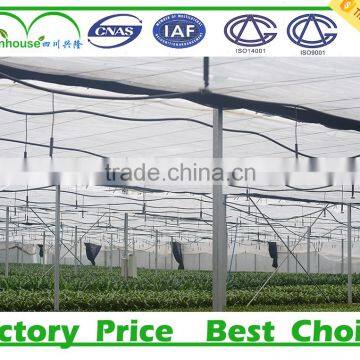 Poly Tunnel Greenhouses Manufacture Supplier photo-6