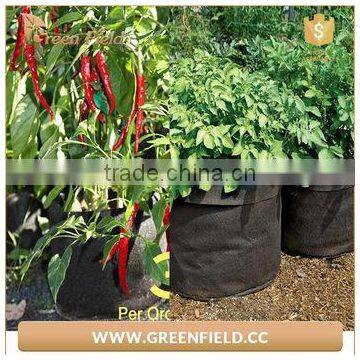 Green Field Durable High Quality Felt Root Tree Planting Bag Supplier photo-2