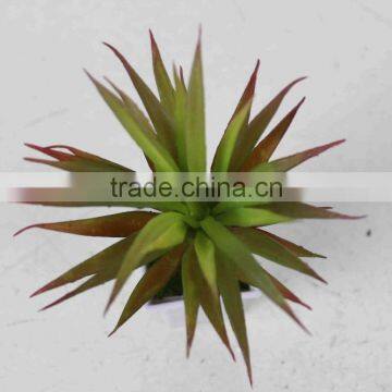 SJ300929 Artificial Plants Small Plant Aloe for Wall Decoration photo-5