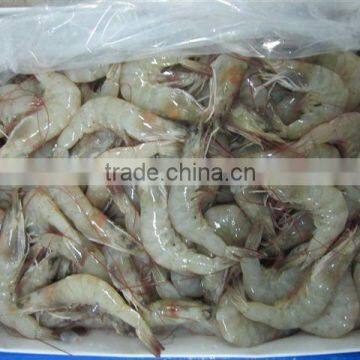 Vannamei Shrimps photo-4
