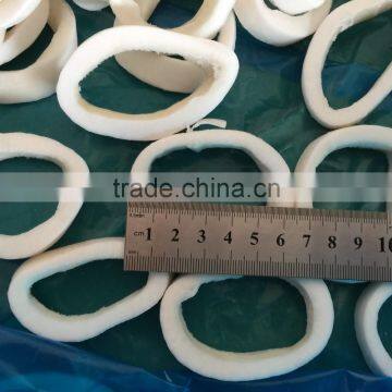IQF Pacific Squid Tube Rings photo-5