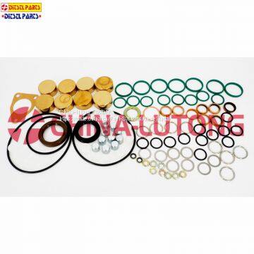 Diesel Pump Repair kits 2 417 010 022 Gasket kit And Rebuild Kit 800717 Overhaul Kit