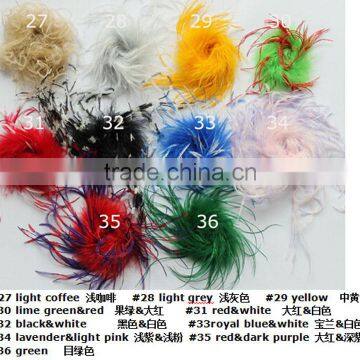 colorful sweet ostrich feather puffs