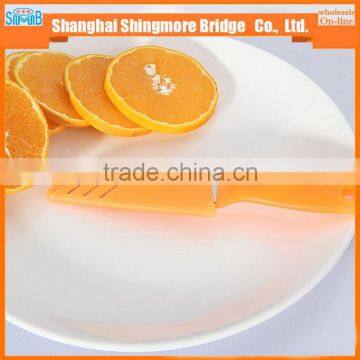 Cheap Wholesale High Quality Stainless Steel Apple Peeler photo-5