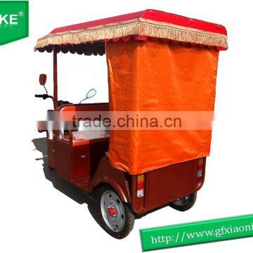 Popular 800W Rickshaw/electric Rickshaw/electric Rickshow China for Passenger photo-3