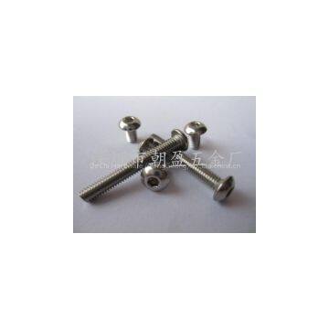 Stainless Steel Screw photo-3