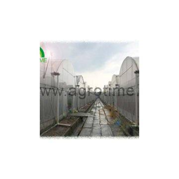 Double Film Plastic Greenhouse