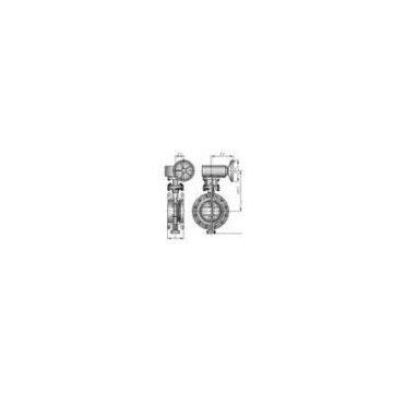 Hange Type Butterfly Valve