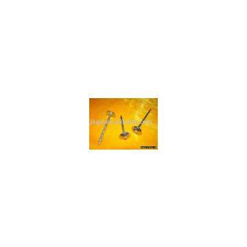 Roofing Nail (H)