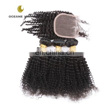 New styles durable cheap no tangle brazillian hair bundles with closure