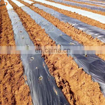 Mulching Biodegradable Agricultural Black Plastic Mulch Film