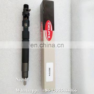 Common Rail Fuel Injector 28231014 (EMBR00101D) 1100100ED01 For FIAT, FORD FOCUS ,Great Wall Hover H6 photo-5