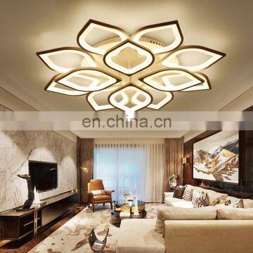 2018 New Products Creative Living Room Lamp 6/8/12 Head Warm Modern Flush Mount LED Ceiling Lamp With Remote Control photo-4