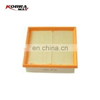 Auto Parts 1016017636 Manufacturer Purifier Car Air Filter