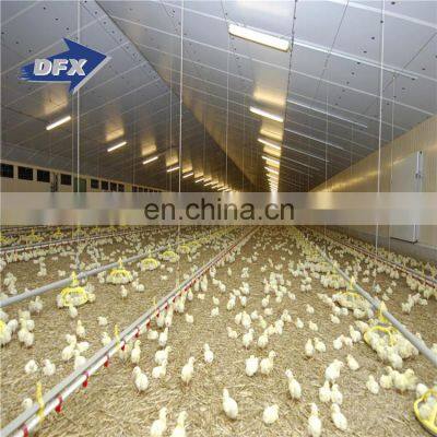 Steel structure poultry house two story workshop poultry house for 10000 chickens