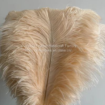 Ostrich Feather From China For Wholesale