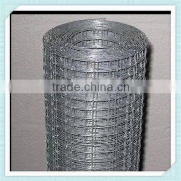 304 316 3/4 Inch Stainless Steel Welded Wire mesh
