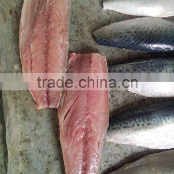 Pacific Mackerel Fillet and Scomber Japonicus