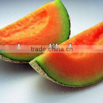 Red star high value hybrid f1 melon seeds for sale