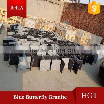 Butterfly Blue Granite Stone Tiles