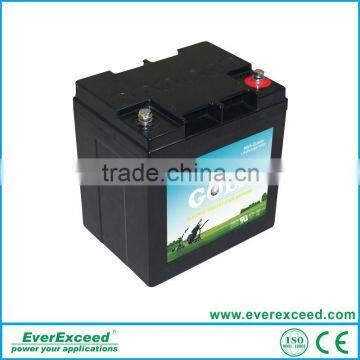 new!EverExceed high quality golf lithium battery for golf cart