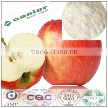 GMP UV apple extract powder Polyphenols 75%