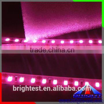 Flex LED Strip With Pink Color SMD2835 LED photo-2