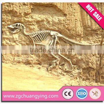 high quality museum dinosaur fossil skeleton reaplica for mall