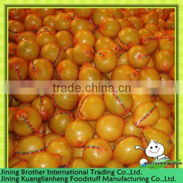 pomelo fruit from origin