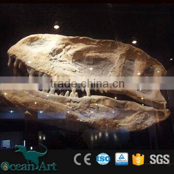 OAV3112 1:1 Scale Artificial Resin Dinosaur Skull photo-3