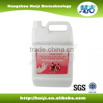 High quality 5kg Waterless wholesale antibacterial hand sanitizer