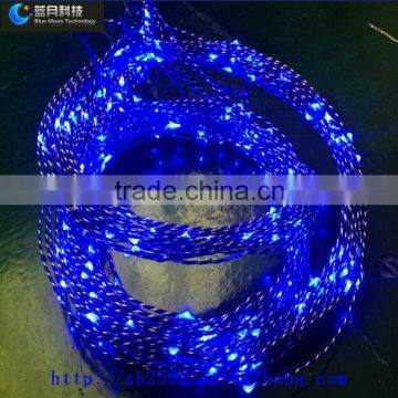 8m/80leds outdoor led holiday lights with CE&Rohs BM-CSTN301