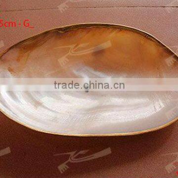 Silver shell / MOP plate