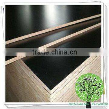 Construction Ply Wood from Vietnam