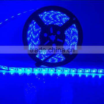 Dmx Led Strip 5050 Led Strip photo-4