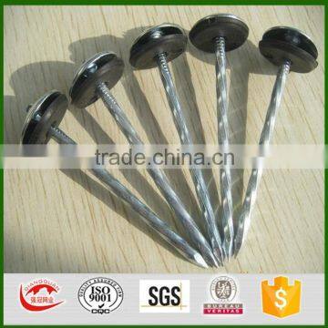 common galvanized roofing nails