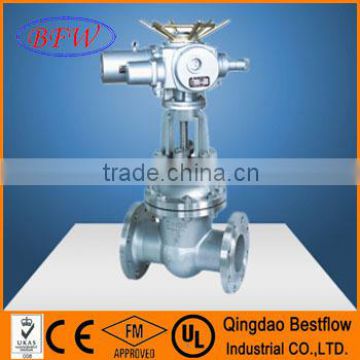 Gear/worm Gate Valve