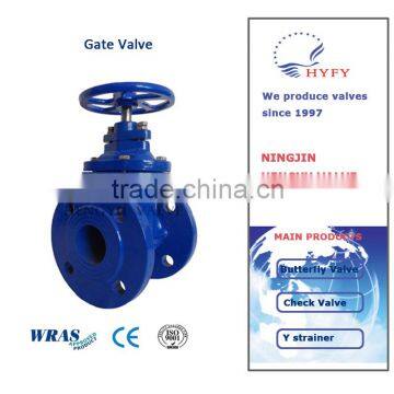 3 Inch PN25 Ductile Iron Swing Check Valve