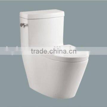 Sanitary Ware Ceramic Squat WC European Toilet